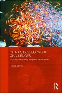 China's Development Challenges: Economic Vulnerability and Public Sector Reform (repost)