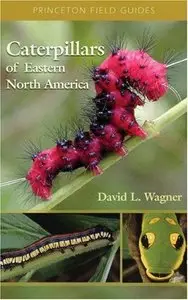 Caterpillars of Eastern North America: A Guide to Identification and Natural History (Princeton Field Guides) [Repost]