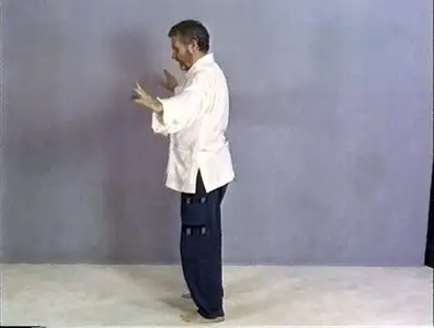 Erle Montaigue - Basic to Advanced Qigong