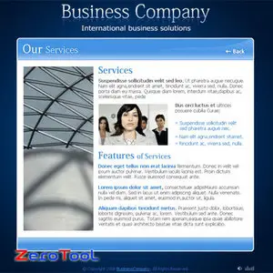 FlashMint 2144 International business flash template
