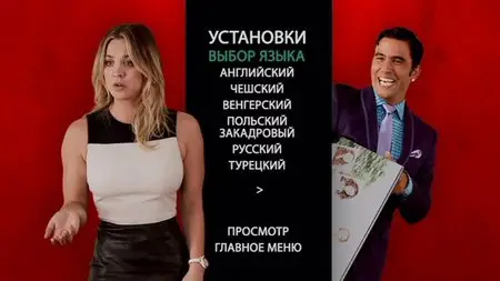 The Wedding Ringer / Шафер напрокат (2015)