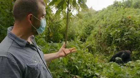 BBC - Expedition Volcano Series 1 Part 2: Nyamulagira (2017)