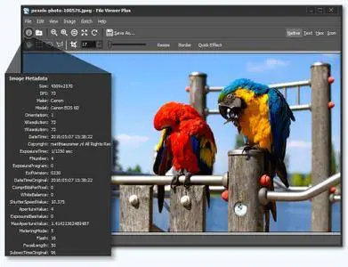 File Viewer Plus 2.1.0.41