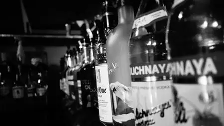 Vodka - Essentials In Bartending And Cocktails