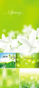 Spring Backgrounds Vector
