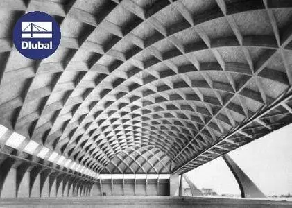 Dlubal SHAPE-MASSIVE 6.65.01