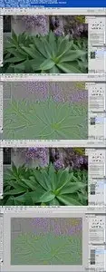 Lynda - Photoshop CS5: Creative Effects (Repost)