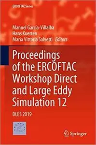 Direct and Large Eddy Simulation XII: DLES 2019 (ERCOFTAC Series