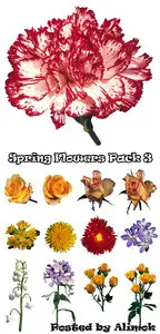 ClipArt - Photo Stock. Spring Flowers Set 3