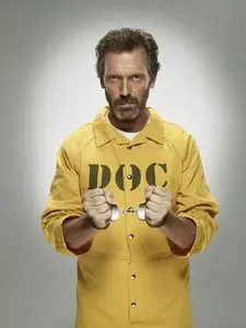 House (season 8)