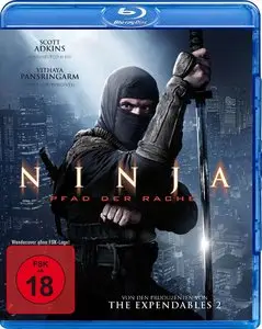 Ninja: Shadow of a Tear (2013)