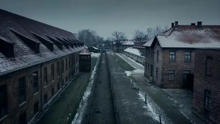 BBC - 1944: Should We Bomb Auschwitz? (2019)