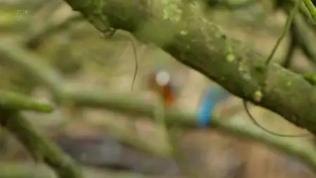 Wild Britain S01E04