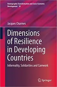 Dimensions of Resilience in Developing Countries: Informality, Solidarities and Carework (Demographic Transformation and