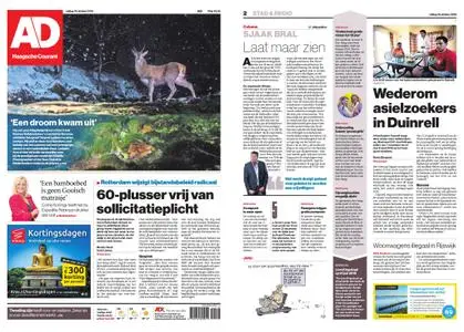 Algemeen Dagblad - Delft – 19 oktober 2018