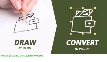 Hand Drawn Design Elements: From Sketch to Vector