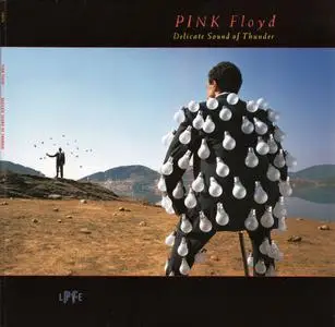 Pink Floyd - Delicate Sound Of Thunder (1988) [2017, Remastered, Vinyl Rip 16/44 & mp3-320 + DVD] Re-up