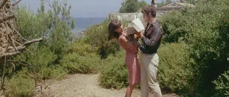 Pierrot le Fou (1965)