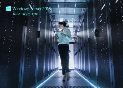 Windows Server 2016 Build 14393.3181