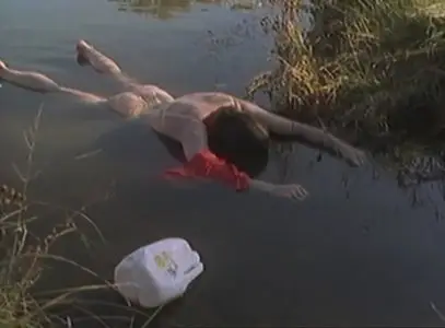 Henry: Portrait of a Serial Killer (1986)