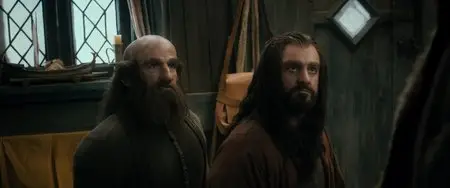 The Hobbit: The Desolation of Smaug (2013)