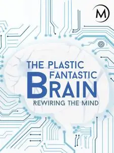 The Plastic Fantastic Brain (2009)