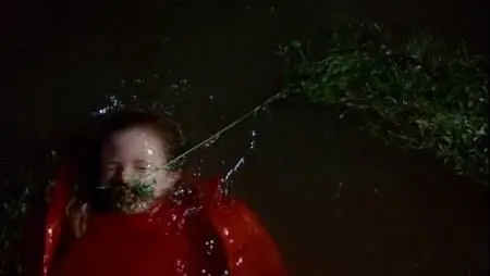 Nicolas Roeg-Don't Look Now (1973)