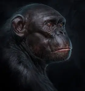 Ben Mauro - Primate Anatomy (Part1+2)