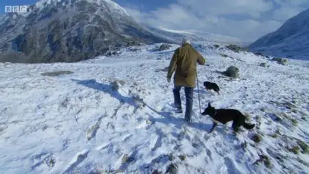 BBC - The Great British Winter (2013)