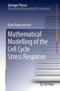 Mathematical Modelling of the Cell Cycle Stress Response (Repost)