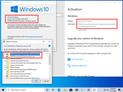 Windows 10 Home 20H2 10.0.19042.804 (x64) Multilingual Preactivated February 2021