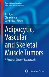 Adipocytic, Vascular and Skeletal Muscle Tumors: A Practical Diagnostic Approach