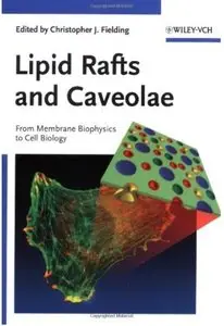 Lipid Rafts and Caveolae: From Membrane Biophysics to Cell Biology