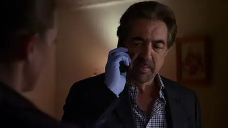 Criminal Minds S09E24