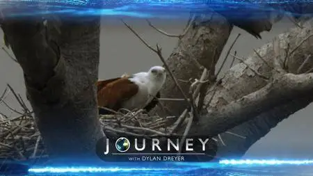 Journey with Dylan Dreyer S02E07