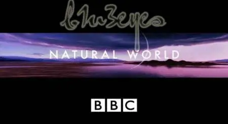 Natural World - Elephants Without Borders