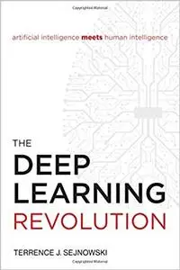 The Deep Learning Revolution