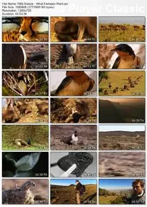 PBS Nature - What Females Want (2008)