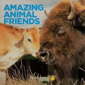 Smithsonian Ch. - Amazing Animal Friends: Series 1 (2021)