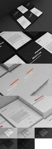 Letterhead Mock up Template
