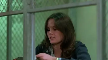 Killer's Delight (1978)