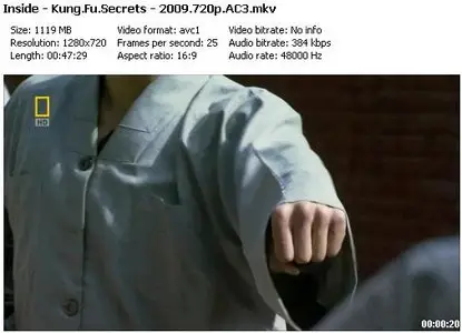 Inside - Kung Fu Secrets [2009]