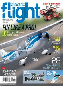 Electric Flight – 20 June 2017