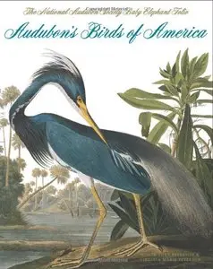 Audubon's Birds of America: The Audubon Society Baby Elephant Folio 