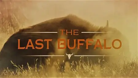 Smithsonian Earth - The Last Buffalo (2016)