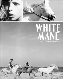 White Mane / Crin Blanc: Le cheval sauvage (1953) [Criterion Collection]