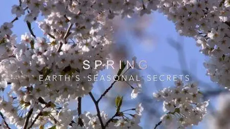BBC - Spring: Earth's Seasonal Secrets (2017)
