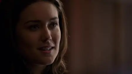 The Blacklist S02E15