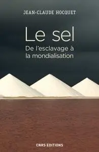Jean-Claude Hocquet, "Le sel : De l'esclavage à la mondialisation"