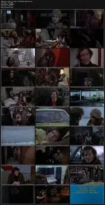 Born to Win (1971)